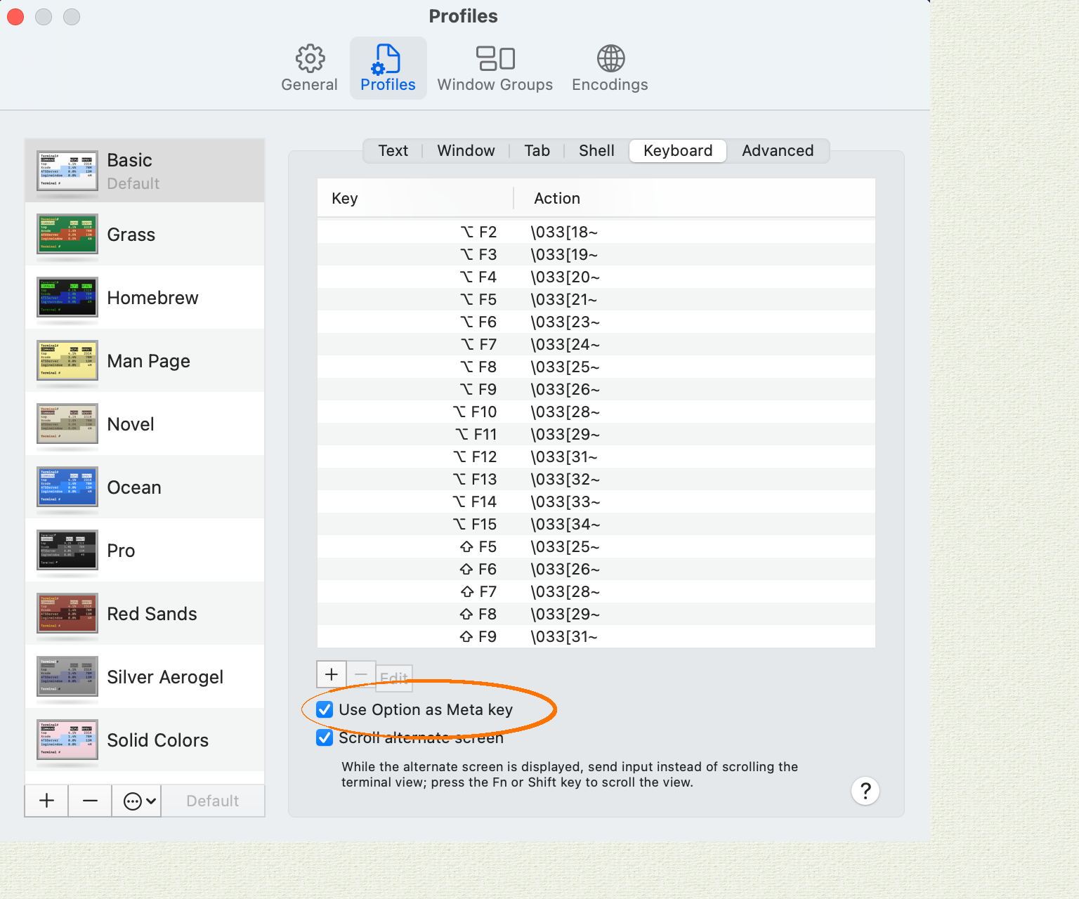 Apple Terminal Alt key configuration